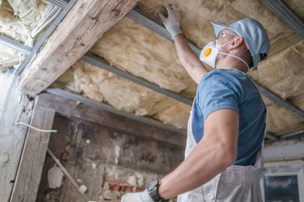 Best Insulation Installation Services in Laurel, MD
